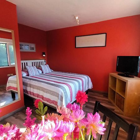 Apartamentos La Casa Del Pintor Cudillero Rom bilde